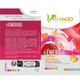 Vita Énergie - 60 gélules, Cure de 1 à 2 mois