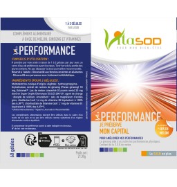 Vita Performance - 60 gélules, Cure de 1 à 2 mois