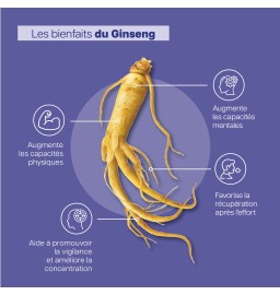 Gingseng efficacité
