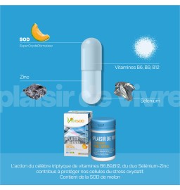 Zinc, SOD, et Vitamines B6 B10 B12
