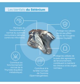 Bienfaits du sélénium