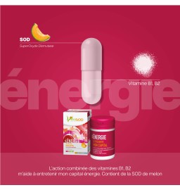 Duo Vita Énergie - Vita Confort urinaire