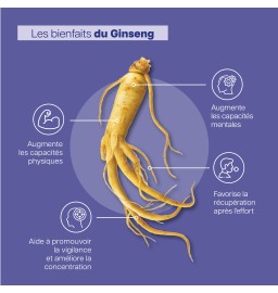 Duo Vita Performance - Vita Pour mon coeur