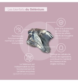 Duo Vita Immunité - Vita Articulation