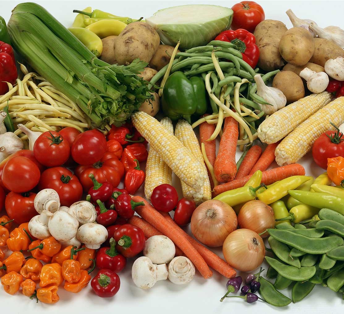 Nullam ullamcorper ornare molestie